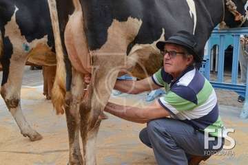 Los Llanos de Telde, en el día grande de sus fiestas patronales de 2019 (Foto Francisco Javier Santana)
